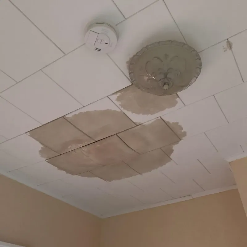 Ceiling Water Damage Repair in Parchment, MI