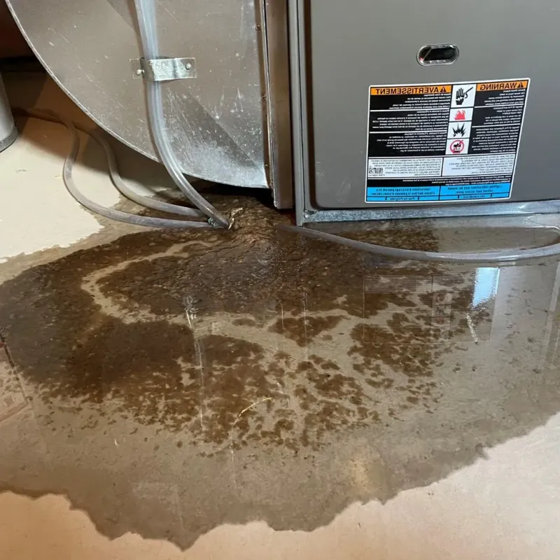 Pipe Burst and Leak Restoration in Parchment, MI