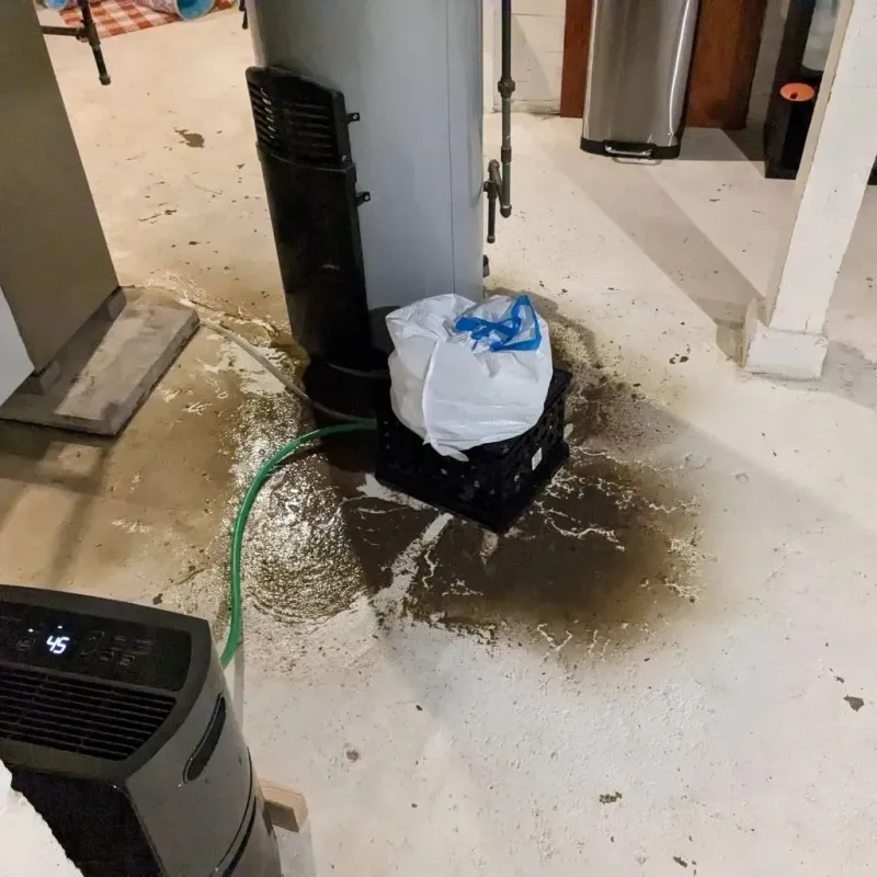 Sewage Backup Cleanup Service in Parchment, MI